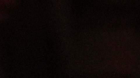 El recién elegido Papa León XIV aparece en el balcón de la Basílica de San Pedro en el Vaticano, el jueves 8 de mayo de 2025.