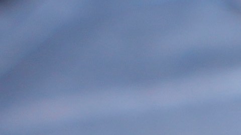 Un migrante muestra en su teléfono celular la aplicación CBP One para realizar trámites de inmigración.