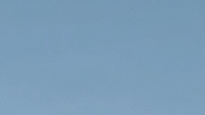 Varios modelos de la linea de camionetas de Toyota. Toyota es patrocinadora de la Copa Oro Concacaf 2025. (Toyota)