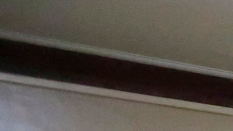 Agentes de la Policía de Inmigración y Aduanas (ICE) realizan un arresto.