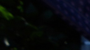 Manifestantes protestan en Los Ángeles en contra de los arrestos de inmigrantes realizados allí por la Policía de Inmigración y Aduanas (ICE), el 10 de junio de 2025.