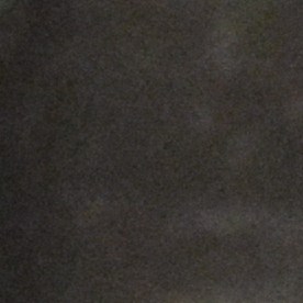 Una conferencia en la que se abordó la posible sindicalización de los trabajadores de la empresa SureBuilt. (Cortesía Shelly Ruzicka / Arise Chicago)