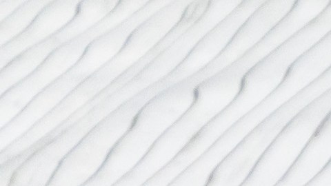 Científicos y veterinarios realizaron una salvadora cirugía a la beluga Kimalu en Chicago. (Cortesía Acuario Shedd)