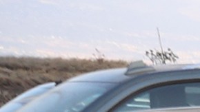 Autos de alquiler en un terreno en Estados Unidos.