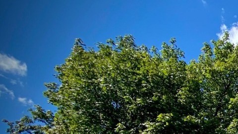 Exterior del Museo Nacional de Arte y Cultura Puertorriqueña de Chicago. (Cortesía Billy Ocasio)