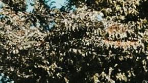 Un centro de recarga de autos eléctricos, dotado de paneles solares y baterías de almacenamiento de energía. (Pexels/Kindelmedia)