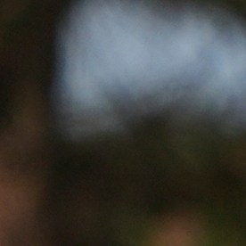 Un camión escolar, un transporte clave para millones de estudiantes en Estados Unidos.