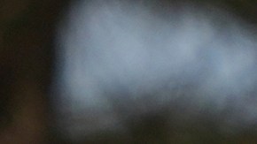 Un camión escolar, un transporte clave para millones de estudiantes en Estados Unidos.