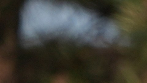 Un camión escolar, un transporte clave para millones de estudiantes en Estados Unidos.