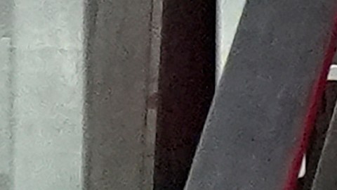 Alumnos en las escaleras de la Escuela Elemental Wells en Chicago.