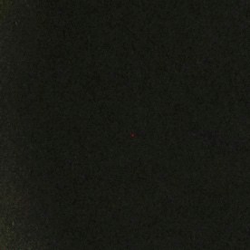 El Censo de Estados Unidos se realiza, por mandato legal, cada 10 años.