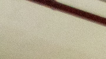 Las estudiantes del equipo lila ganaron el tercer EV Rally de Vehículos Eléctricos de ComEd el 26 de julio de 2025. (Cortesía ComEd)