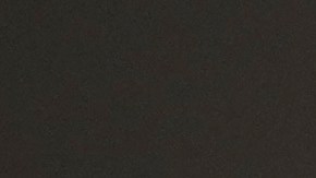 El papa León XIV, nacido en Chicago.