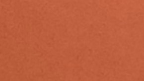 El concejal Bryan Sigcho-López, del Distrito 25 de Chicago, la cónsul general de México Reyna Torres Mendivil y Daylily Álvarez, directora de la Biblioteca Rudy Lozano en Pilsen. (Antonio Zavala / La Raza)