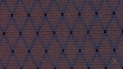 La comunidad mexicana y latina de Chicago celebró en 2025 la Independencia de México con el tradicional desfile en la Calle 26, este año titulado “Orgullo y poder”. (AP)