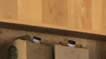 El veterano periodista Ezequiel Banda Sifuentes. (Antonio Zavala / La Raza)