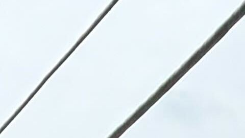 Congresistas y líderes hispanos exigieron ante el centro de detención de Broadview, Illinois, información sobre el paradero del inmigrante William Giménez, detenido por ICE y del que no se tiene noticia de su paradero. (Cortesía Kara Rodríguez / Raise The Floor)