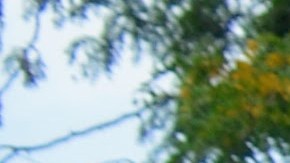 Líderes religiosos y feligreses protestaron frente a la Estación Naval de los Grandes Lagos en North Chicago en contra de las redadas de ICE. (Cortesía Shelly Ruzicka / Arise Chicago)