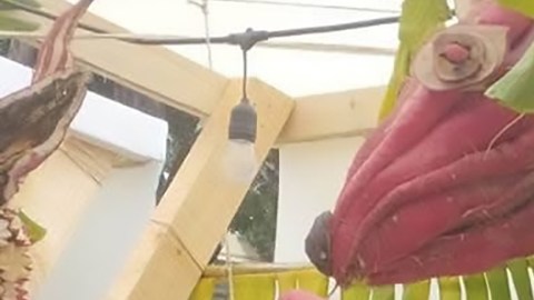 El artista oaxaqueño Omar Díaz. (Cortesía Juan Matus/LOS)