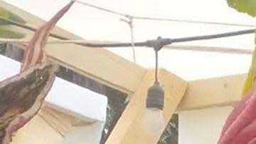 El artista oaxaqueño Omar Díaz. (Cortesía Juan Matus/LOS)