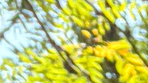 Líderes religiosos y activistas hicieron una caminata y vigilia de oración frente a la Base Naval de los Grandes Lagos, en North Chicago, para pedir por las familias inmigrantes. (Cortesía Julie Contreras)