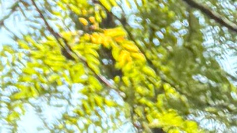 Líderes religiosos y activistas hicieron una caminata y vigilia de oración frente a la Base Naval de los Grandes Lagos, en North Chicago, para pedir por las familias inmigrantes. (Cortesía Julie Contreras)