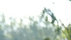 Agentes federales arrestan a una persona durante las protestas en contra de las redadas en el centro de procesamiento migratorio de Broadview, Illinois.