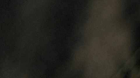 La placa y parte frontal del uniforme de un agente de la Patrulla Fronteriza desplegado en el área de Chicago. (AP)