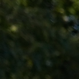 El jefe de la Patrulla Fronteriza Greg Bovino camina al lado de un manifestante que tiene las manos en su espalda durante protestas contra las redadas en Broadview, Illinois.