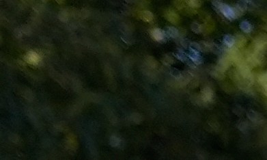 El jefe de la Patrulla Fronteriza Greg Bovino camina al lado de un manifestante que tiene las manos en su espalda durante protestas contra las redadas en Broadview, Illinois.