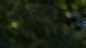 El jefe de la Patrulla Fronteriza Greg Bovino camina al lado de un manifestante que tiene las manos en su espalda durante protestas contra las redadas en Broadview, Illinois.