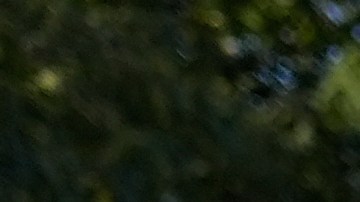 El jefe de la Patrulla Fronteriza Greg Bovino camina al lado de un manifestante que tiene las manos en su espalda durante protestas contra las redadas en Broadview, Illinois.