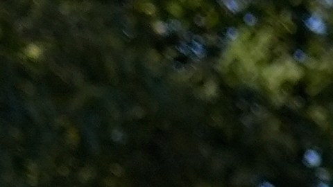 El jefe de la Patrulla Fronteriza Greg Bovino camina al lado de un manifestante que tiene las manos en su espalda durante protestas contra las redadas en Broadview, Illinois.