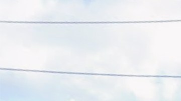 Los silos de Damen, en 2900 South Damen Avenue, Chicago, están en proceso de demolición.