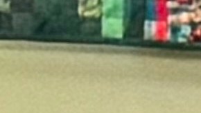 El senador Dick Durbin (izq), la congresista Delia Ramírez (centro) y legisladores, líderes cívicos y religiosos denunciaron abusos de ICE en una conferencia en la iglesia Christ Lutheran Church en Albany Park, en Chicago. (Ashley Quincin / La Raza)