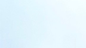 Multitudes en Chicago participaron en la protesta ‘No Kings’ del 18 de octubre para manifestarte en contra de las políticas de Donald Trump y a favor de los inmigrantes, los trabajadores y los valores democráticos. (Ashley Quincin / La Raza)