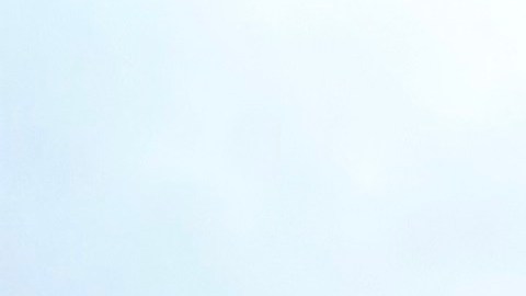 Multitudes en Chicago participaron en la protesta ‘No Kings’ del 18 de octubre para manifestarte en contra de las políticas de Donald Trump y a favor de los inmigrantes, los trabajadores y los valores democráticos. (Ashley Quincin / La Raza)