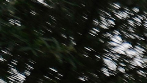 El Monumento a Washington, obelisco en la capital de Estados Unidos, Washington DC.