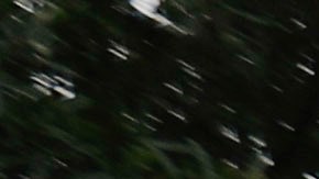 El Monumento a Washington, obelisco en la capital de Estados Unidos, Washington DC.