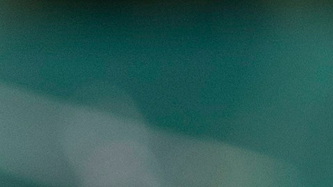 Tom Homan, ‘zar de la frontera’ del gobierno de Estados Unidos. (AP)