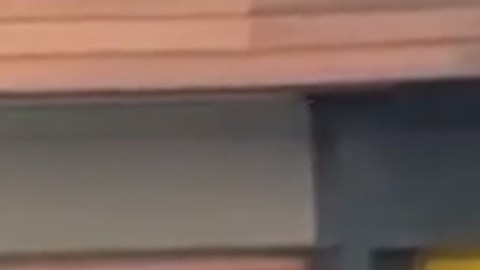 El momento en que agentes federales al parecer sacan por la fuerza a una maestra, durante una redada de inmigración en la guardería Rayito de Sol Spanish Immersion Early Learning Center, en Roscoe Village, Chicago. (Captura de pantalla, Capable_Salt_SD/Reddit)