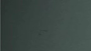 Curt Andersen fue acusado de homicidio voluntario en la muerte de la guatemalteca María Florinda Ríos Pérez el pasado 5 de noviembre en Indiana.