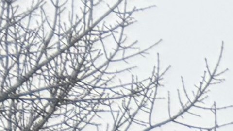 El edificio de la escuela pública Shields, de CPS, en Brighton Park, Chicago. (Antonio Zavala / La Raza)