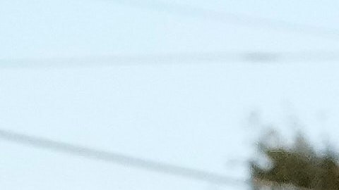 Una protesta frente al centro de detención de inmigración en Broadview, Illinois.