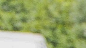 Una redada de inmigración en Florida. (X / CBP AMO)