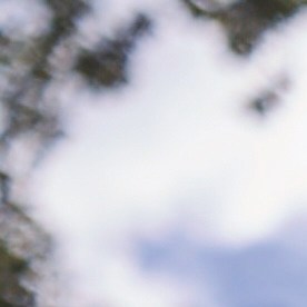 T-Mobile tiene planes de telefonía excelentes para la familia. (Suministrada / T-Mobile)