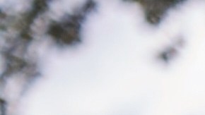 T-Mobile tiene planes de telefonía excelentes para la familia. (Suministrada / T-Mobile)