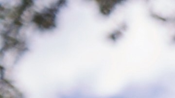 T-Mobile tiene planes de telefonía excelentes para la familia. (Suministrada / T-Mobile)