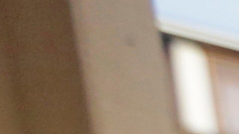 En Chicago, los trabajadores de Safe Passage protegen a los niños de disparos y otros daños, pero algunos se ausentaron del trabajo por miedo a las redadas federales de inmigración.