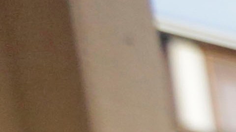 En Chicago, los trabajadores de Safe Passage protegen a los niños de disparos y otros daños, pero algunos se ausentaron del trabajo por miedo a las redadas federales de inmigración.